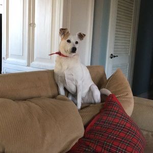 Meet your Posher, Carol